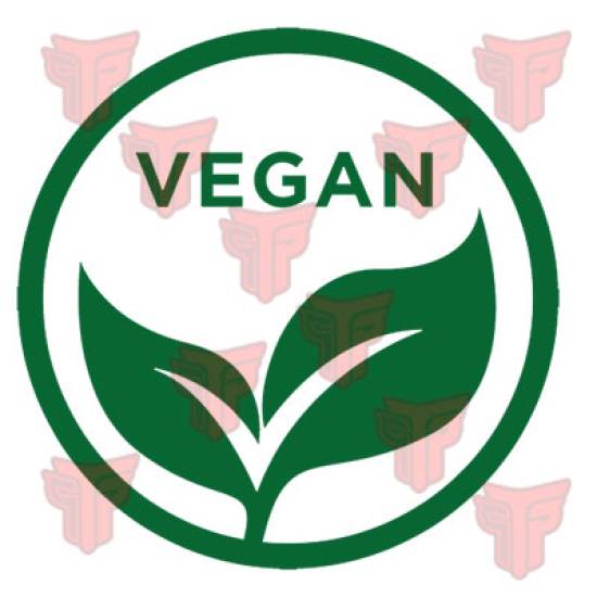 Ανδρική Μακρυμάνικη λεπτή μπλούζα Takeposition,  Vegan logo, Γκρι, 333-2516-07