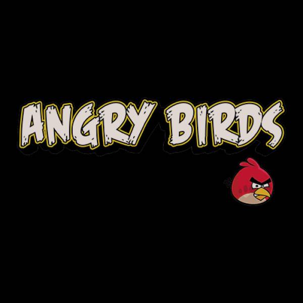 Παιδικό T-shirt Βαμβακερό Takeposition, Game Angry birds logo II, Μαύρο, 806-4714 