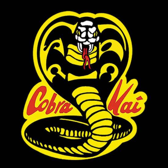 Hoodie φούτερ με κουκούλα Takeposition H-cool Cobra Kai σε Μαύρο, 907-8526-02