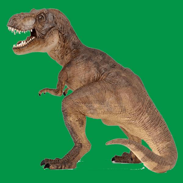 Μπλουζάκια παιδικά βαμβακερά Takeposition H-cool T-rex Πράσινο 806-1162 