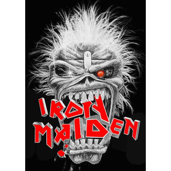 Μπλούζα φούτερ Takeposition Iron Maiden crush, μαύρη 311-7528